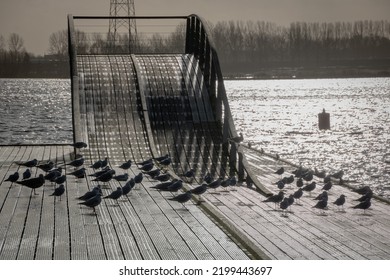 Stormy Clouds Over A Pier With Black Birds And Dark Lake