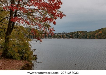 A Stormy October Day at Lake Williams, York County Pennsylvania USA, Pennsylvania