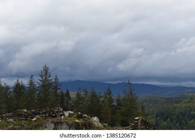 Stormy Skies Above Snowdonia Woodland