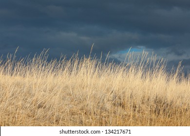 Stormy Skies And Dry Prairie Grass