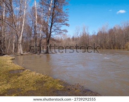 Stormy stream. Flood. Spring river overflow.