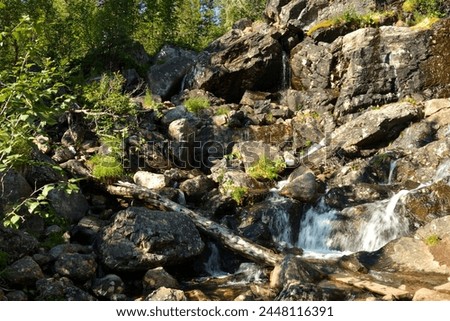 The stormy stream of the river flows down in a swift stream from high stones in a dense summer forest. Rainbow Sayan Waterfall, Ergaki Nature Park, Krasnoyarsk Territory, Siberia, Russia.