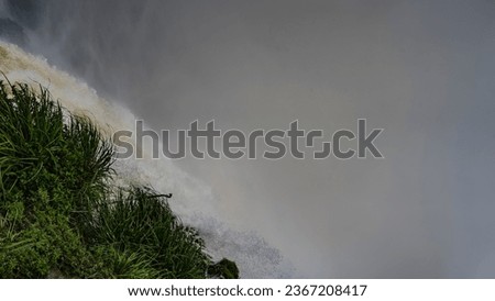 A stormy stream of water falls into the abyss from the cliff. The waterfall foams, splashes in the air. Everything is shrouded in thick fog. In the foreground is lush green grass. Argentina. 