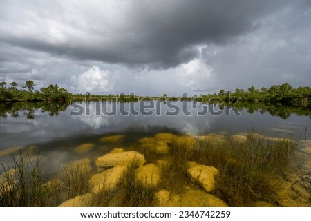 Stormy summer cloudscape reflected in calm water of Pine Glades Lake in Everglades National Park, Florida.