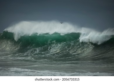 Stormy Waves At Dawn, Sydney Australia