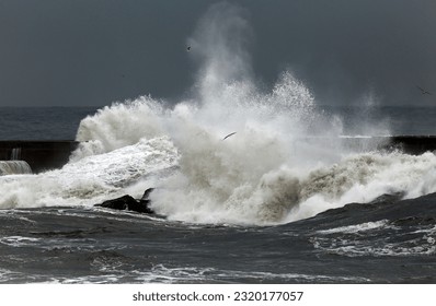 Stormy waves over pier, north of Portugal - Powered by Shutterstock