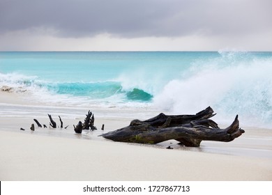 Stormy weather at Ffryes Beach in Antigua with driftwood in the sand. - Powered by Shutterstock