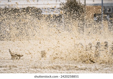 stormy windy winter weather storm conditions with sea foam or spume flying around and a bench in the background concept climate change at the coast - Powered by Shutterstock