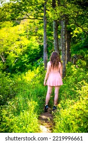 Story Of The Forest Trail With Woman Walking Hiking In Shenandoah Blue Ridge Appalachian Mountains On Skyline Drive In Summer Or Spring