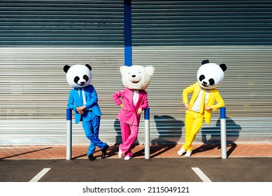 Storytelling image of a couple wearing giant panda head and colored suits. Man and woman making party in a parking lot.