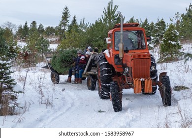 Stouffville, Ontario, Canada - Dec 08, 2019: People riding in tractor trailer with cut evergreen coniferous trees at a Christmas tree farm. Winter activity and holiday season preparation concept.