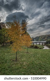 Stourhead Wiltshire Autumn Portrait