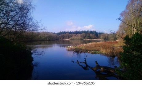 Stover Country Park Pond Newton Abbot 