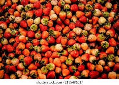 Straberry fruit close up background healthy food