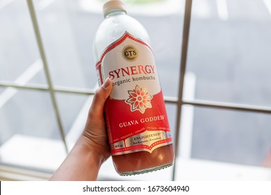 Strafford, USA - October 15, 2019: Closeup Of Hand Holding Vegan Food Drink Sign For Guava GT's Synergy Kombucha By Window Background