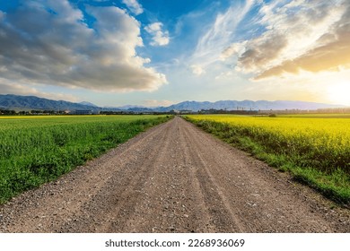 Straight country road and green farmland natural scenery at sunrise in Xinjiang, China. - Powered by Shutterstock