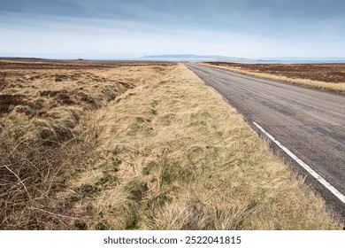 A straight deserted road passes through yellow, brown and green coloured grassland with the sea and orkney islands in the distance. - Powered by Shutterstock