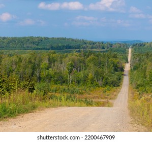 Straight Dirt Road Running Through A Remote Maine Forest