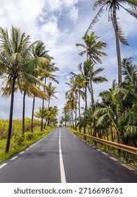 Straight empty highway passing through an exotic palm alley in a tropical region. A beautiful landscape representing summer road trips, freedom, and vacation vibes.