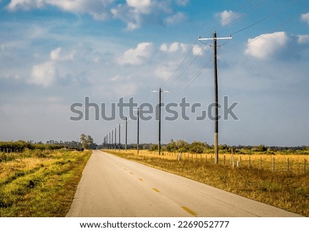 Straight flat road with telephone poles in rural Central Florida USA