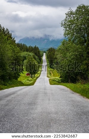 Straight and hilly road in northern Norway surrounded by forest and meadow