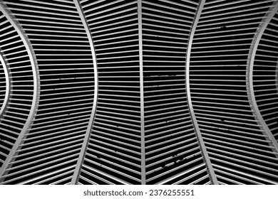 straight lines pattern in bw