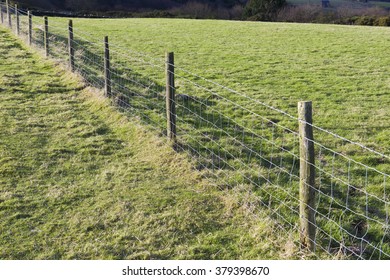 Straight Metal Wire Fence Dividing Two Grassy Farm Fields In A Rural Countryside Landscape