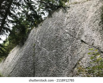 A straight mountain wall on which trees grow