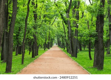 Straight pathway leading through a lush green forest park with tall trees and a serene atmosphere - Powered by Shutterstock