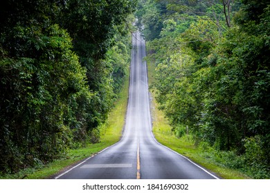 Straight road in countryside on hill slope surrounding by green trees inside tropical rainforest area.