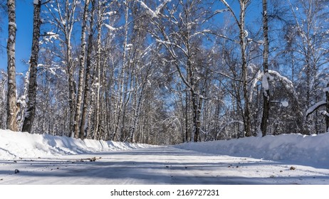 The straight road goes forward through the winter forest. The trees bent under the weight of layers of snow on the branches. Snowdrifts on the roadsides. Clear blue sky. Altai.