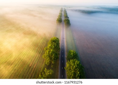 Straight road in the morning view from above. Transportation background. Beautiful aerial landscape with road in colorful fog. Misty autumn nature.
