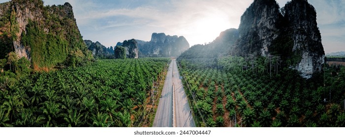 Straight road and palm trees and rocky mountains in the morning - Powered by Shutterstock