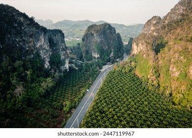 Straight road and palm trees and rocky mountains in the morning - Powered by Shutterstock