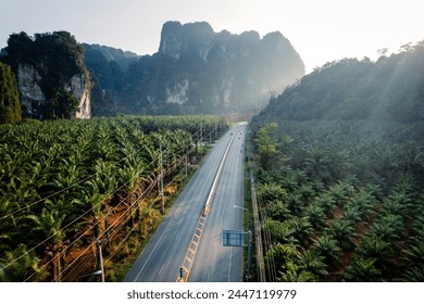 Straight road and palm trees and rocky mountains in the morning - Powered by Shutterstock