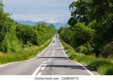 A Straight Road Through The Trees