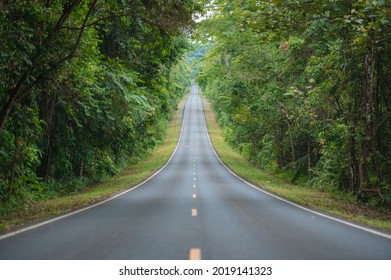 A straight steep road to entrance to Khao Yai national Park to see the beauty of the tropical forest in Khao Yai National Park. UNESCO World Heritage Area, Unseen Thailand.
