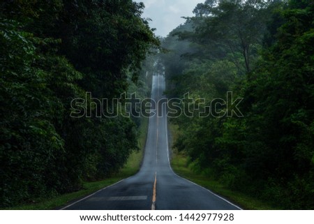
A straight steep road to entrance to Khao Yai national Park, Nakhon Rachasrima,Thailand in morning with mist and Fog