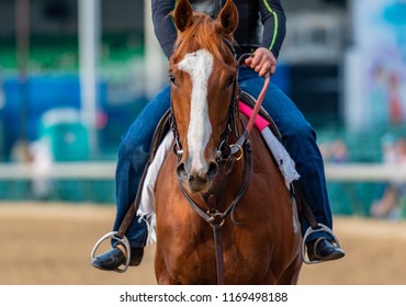 Straight View Of Horse Face Running On Dirt Track