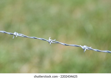 Strand Of Barbed Wire On A Farm Fence