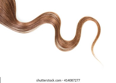 A strand of long, frizzy, brown hair isolated on white background.