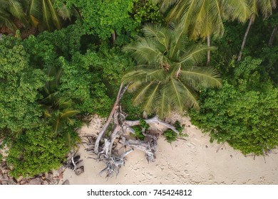 Strand/Beach