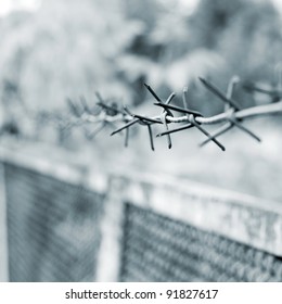 strands of barbed wire against a soft gray background - Shutterstock ID 91827617