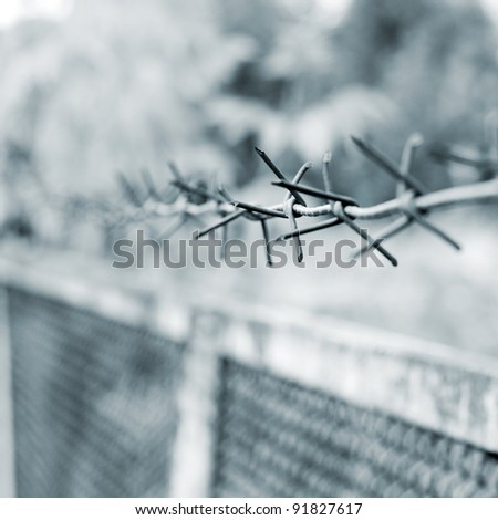 strands of barbed wire against a soft gray background