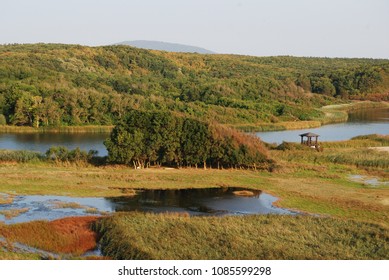 Strandzha Nature Park, Mouth Of Veleka River