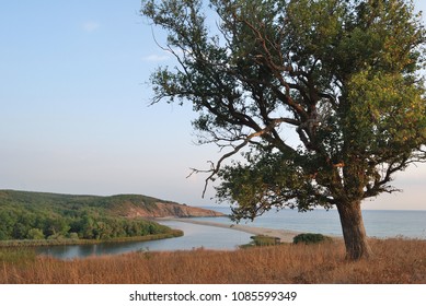 Strandzha Nature Park, Mouth Of Veleka River