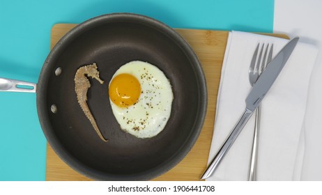 Strange Breakfast Setting With Pan Of Fried Egg And Sea Horse