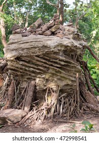 Strange Combination Between Natural Stones, Tree Roots, And Human Naughtiness