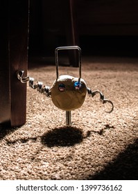 Strange creature under the table