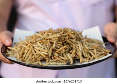 298 Strange pupae Images, Stock Photos & Vectors | Shutterstock